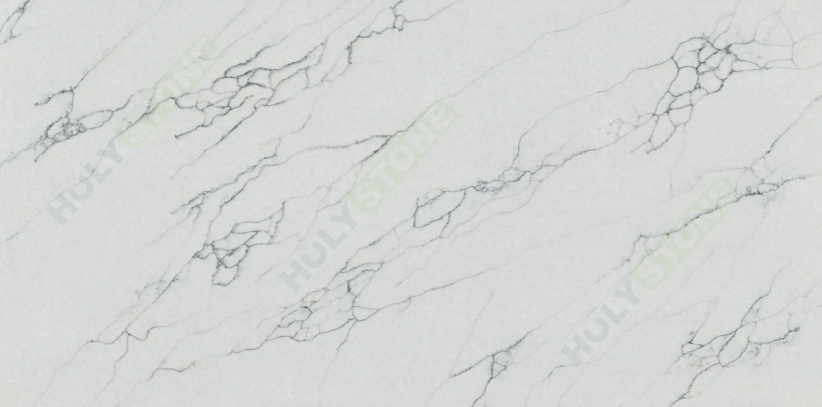 Calacatta Olympia Grey 2024