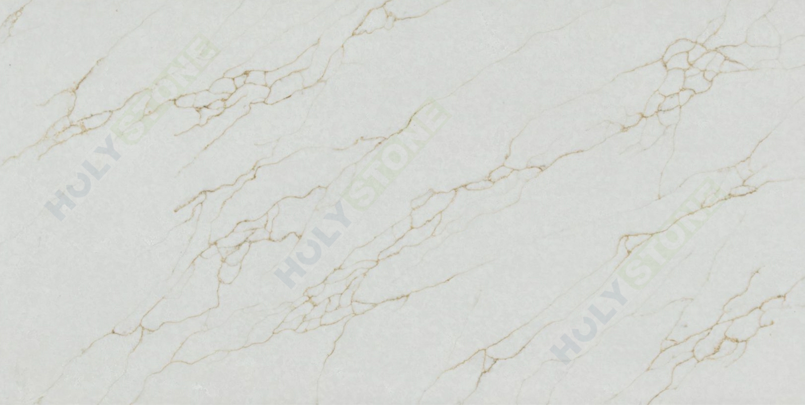 Calacatta Olympia Gold 2024